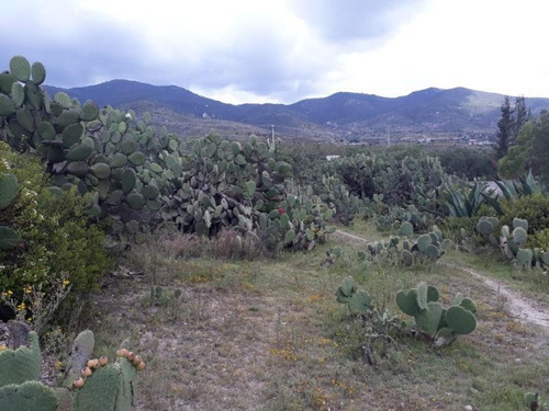 Imagen 6 de 12 de Terreno Comercial En Venta Dos Carlos Pueblo Nuevo