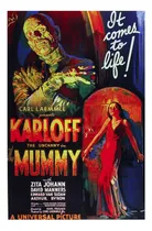 Comprar Afiche Película Terror La Momia Boris Karloff (sin Marco) 