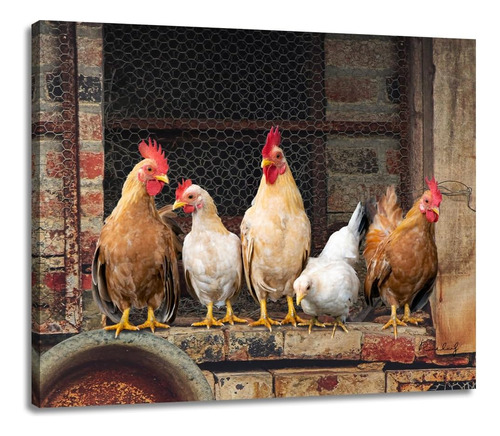 Woxfcart Imágenes Decorativas Para Pared De Pollo, Gallo, Ar