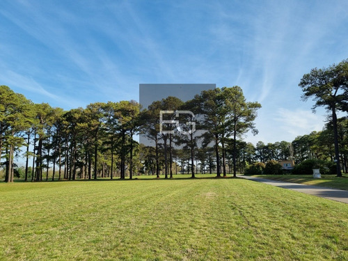 Imagen 12 de 16 de Lotes 1500 M2 Barrio Pinares Exaltación De La Cruz