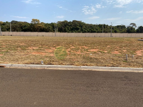 Imagem 2 de 2 de Venda: Ótimo Terreno No Villa De Leon I - Te30558