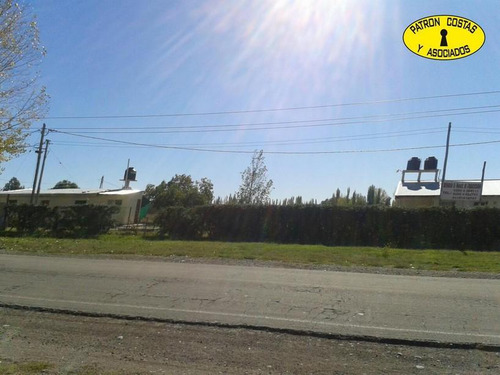 1882sa-lote De 5.000 M2 En San Rafael Mendoza