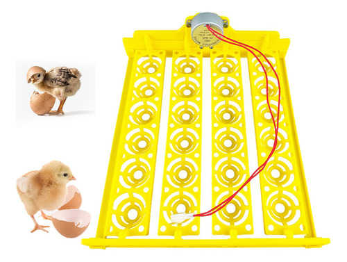 Bandeja De Incubadora De Ovos Trilhos De Ovos 24 Incubadora