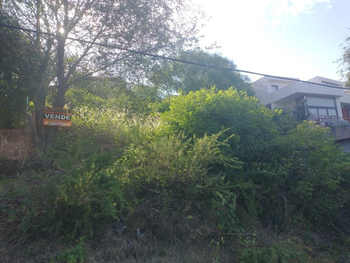 Imagen 5 de 10 de Lote Vista Al Lago - Se Financia El 50% Sin Interés