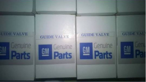 Guias De Válvulas Para Cavalier 2.2 Tapa Rayada