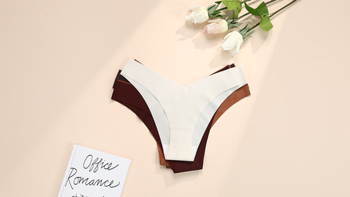 Pack De 5 Bragas De Bikini Sin Costuras De Seda Helada.
