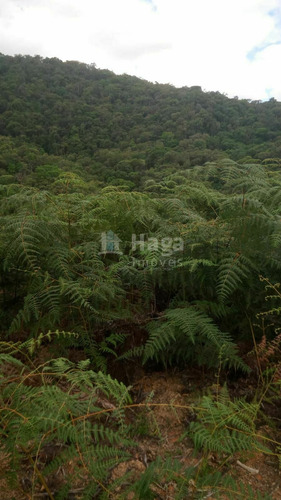 Imagem 1 de 14 de Chácara À Venda No Bairro Pomerânia - Guabiruba/sc - 2329c