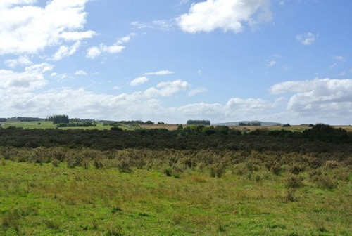 Campo En Venta