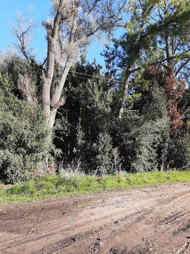 Imagen 3 de 8 de Lote En Esquina En Chascomus A Mts De La Estancia San Matias