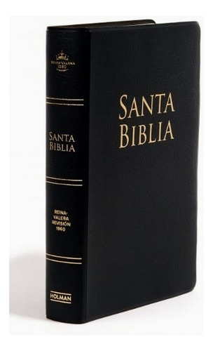 Biblia Reina Valera 1960 Tamaño Manual Letra Grande 