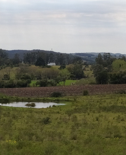 Chacra De 36 Has Ubicada En El Campanero, Lavalleja