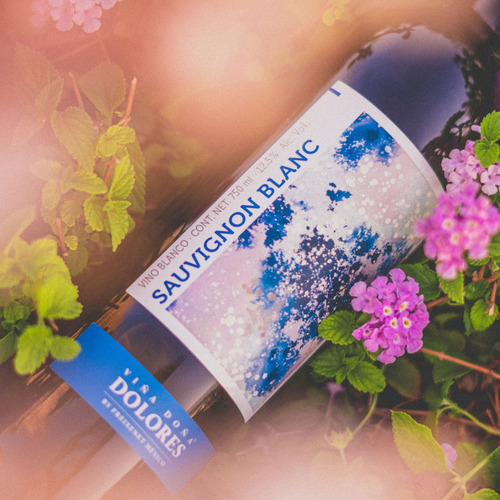 Vino Blanco Viña Dolores Sauvignon Blanc, 750 Ml
