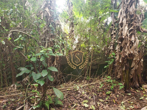 Terreno À Venda, 1200 M² Por R$ 1.800.000,00 - Várzea - Teresópolis/rj - Te0060