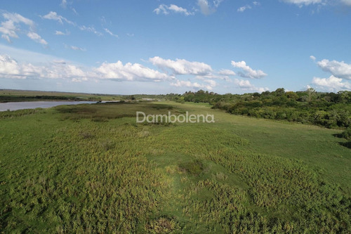 Imagen 26 de 30 de Terreno Campo En Venta O Permuta Ubicado En Baradero, Resto De La Provincia, Buenos Aires
