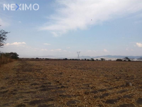 Imagen 1 de 5 de Oportunidad De Inversión Temixco, Morelos. Zona Conurbada De Cuernavaca Mx17-de5821 7124