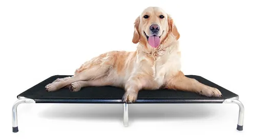 Cama Cachorros Golden Pet Tamanho Gg Suspensa Alumínio Mecg Cor Preto Menor preço em Cama Cachorros Golden Pet Tamanho Gg Suspensa Alumínio Mecg Cor Preto