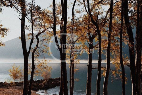 Ug Rebajado Sitio Venta Condominio Lago Colico
