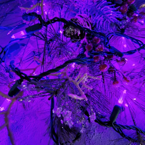 Cadena De Luces De Navidad 50 Luces Led Moradas De Grado Com