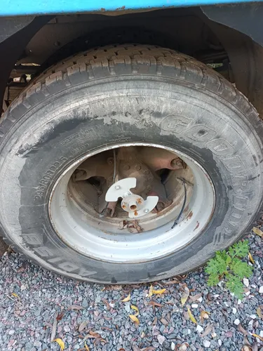 Camión Fiat 150