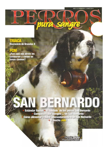 Revista De Perros El San Bernardo Junio 2014