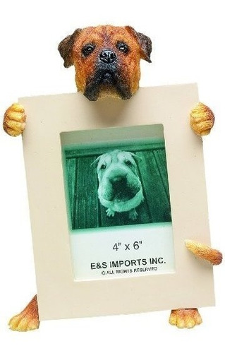 El Marco De Imagen Bullmastiff Tiene Su Foto Favorita De 2.5