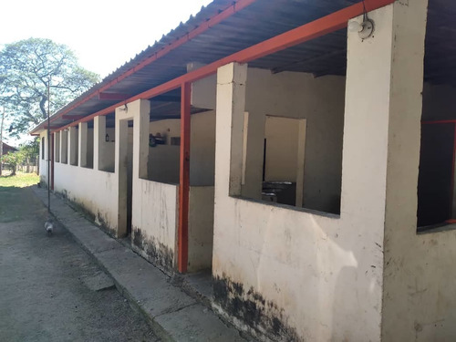 Imagen 3 de 13 de Finca En Barinas Carretera Vieja A 20 Min..de Barinas