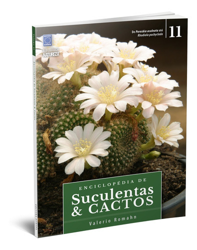 Enciclopédia De Suculentas & Cactos: Volume 11, De A Europa., Vol. 11. Editora Europa, Capa Mole Em Português