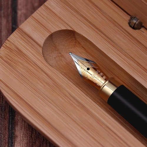 Caso Pluma Estilografica Conjunto De Escritura Recogida...