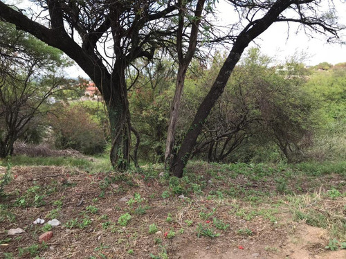 Imagen 3 de 12 de Terreno En Venta Cinco Lomas