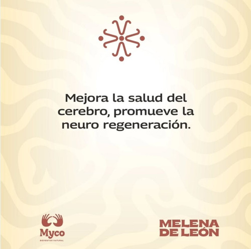 Melena De León X 90 Cáps Bienestar Natural Hongo Adaptógenos Sin Sabor
