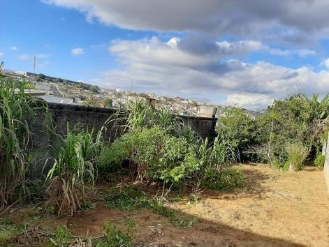 Imagem 4 de 5 de Terreno Comercial Na Vila Paulista - Loc849501