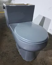 Comprar Inodoro Usado Gris En Buenas Condiciones