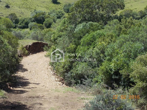 Imagen 7 de 30 de Venta Chacra 96has En Minas, Lavalleja