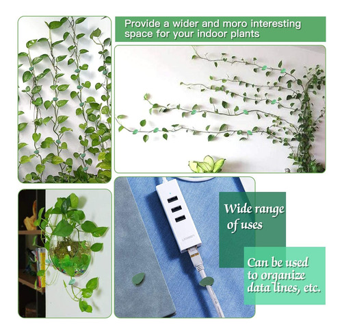 30 Clips Autoadhesivos De Fijación A La Pared De Plantas Par