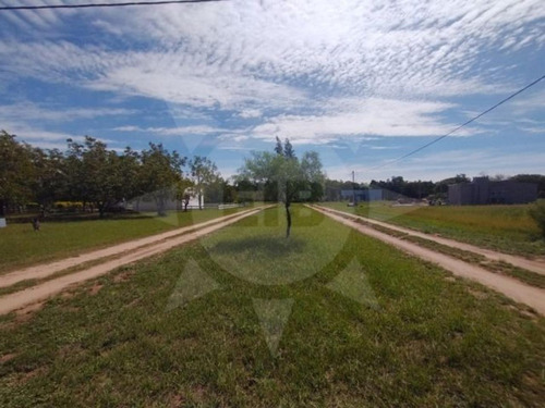 Imagen 4 de 6 de ::: Eib Vende Terreno :::