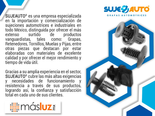 Grapa De Presión Nylon Bca-negra Sujeauto Ford-pick Up 2005