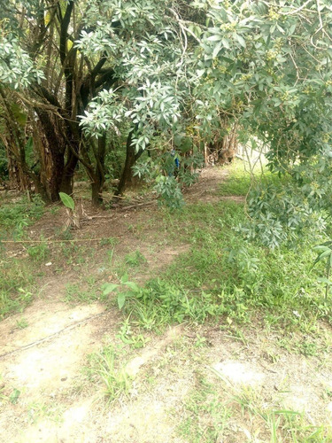 Imagem 9 de 14 de Vendo Chacara Regiao De Salto De Pirapora-sp (4243 )