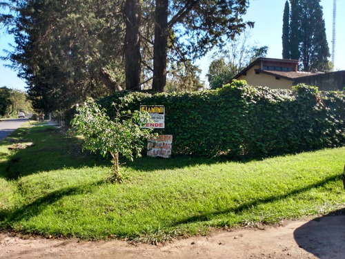 Terreno En Venta En Muñiz