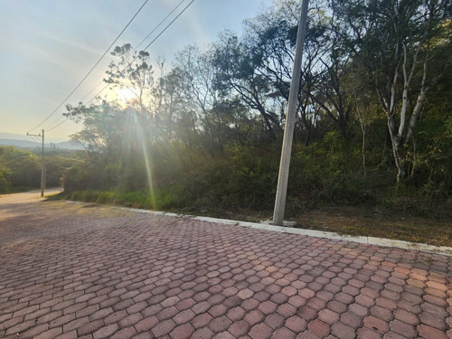 Venta Lote Gladiola 36 En Nueva Zona Del Fraccionamiento Muy Cerca De La Entrada Con Vistas Panorámicas, Poryecto Incluído En Rancho San Diego Ixtapan De La Sal Edomex