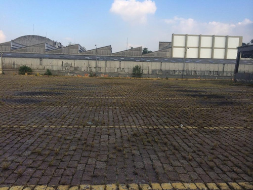 Imagem 8 de 10 de Galpão Para Aluguel, Cambuci - São Paulo/sp - 128