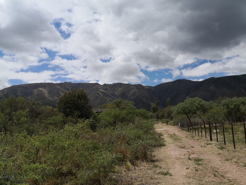 Lote En Villa Elena, Cortaderas. San Luis