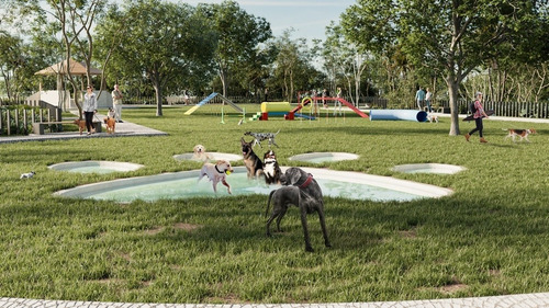Imagen 2 de 13 de Aprovecha!!! Vendo Lote En Santa Clara Yucatan