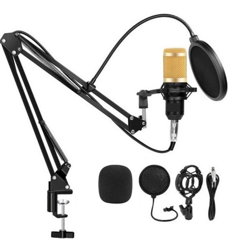 Kit Microfone Condensador Lorben Bm800 Cabo Xlr/p2 Top Cor Preto Dourado