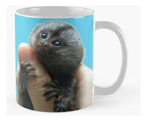 Taza Mono Tití Animal Super Lindo Calidad Premium