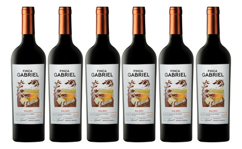 Vino Finca Gabriel Malbec Roble 6x750 Ml