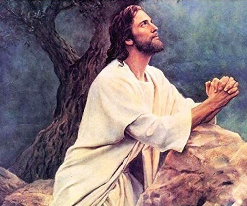 Pintura De Diamante De Punto De Oración De Jesús - Maiyiyi 5