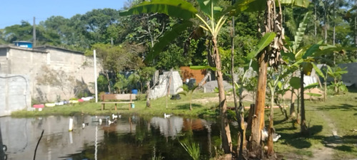 Imagem 11 de 14 de Chácara No Bairro Regina Maria Em Mongaguá