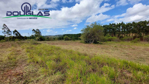 Imagem 14 de 15 de 4 Hectares Ótima Localização - 1714