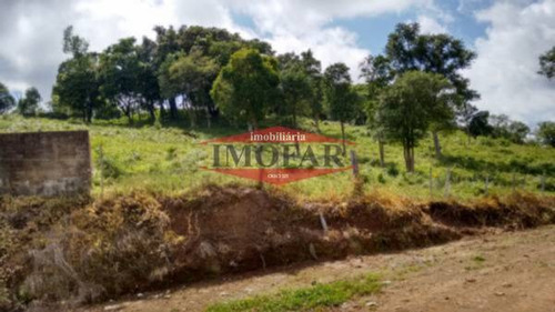 Imagem 5 de 15 de Chacara - Linha Jacinto - Ref: 5862 - V-5862