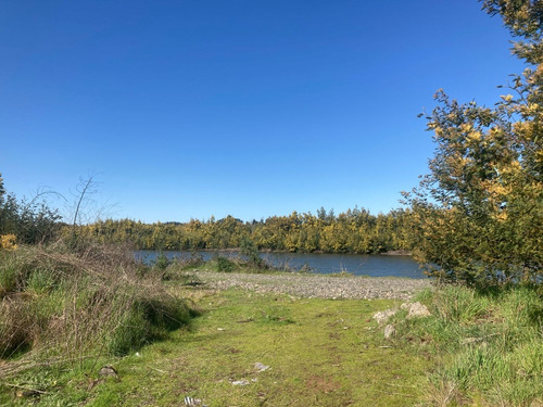 Campo Pillalelbun